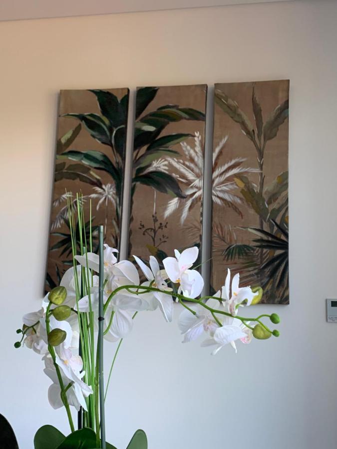 Dcm Lofts Apartment Arcozelo  Ngoại thất bức ảnh